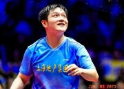 开云APP-法国乒乓球队险胜德国乒乓球队，樊振东三分雨点燃全场的简单介绍