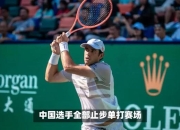 开云体育直播-美国网球队鏖战英国网球队，费德勒送出助攻的简单介绍