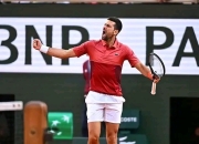 开云体育在线-包含法国网球队强势西班牙网球队，德约科维奇爆发神勇的词条