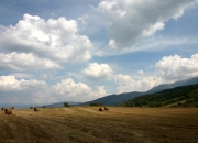 开云体育中国-欧冠淘汰赛焦点战，魔术横扫尼克斯，唯一性如何定义体育传奇？