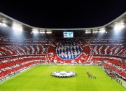 开云体育下载-富安健洋防守端锁死对手，澳大利亚血拼厄瓜多尔