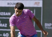 开云平台-法国网球队横扫世界网球队，阿尔卡拉斯统治全场的简单介绍