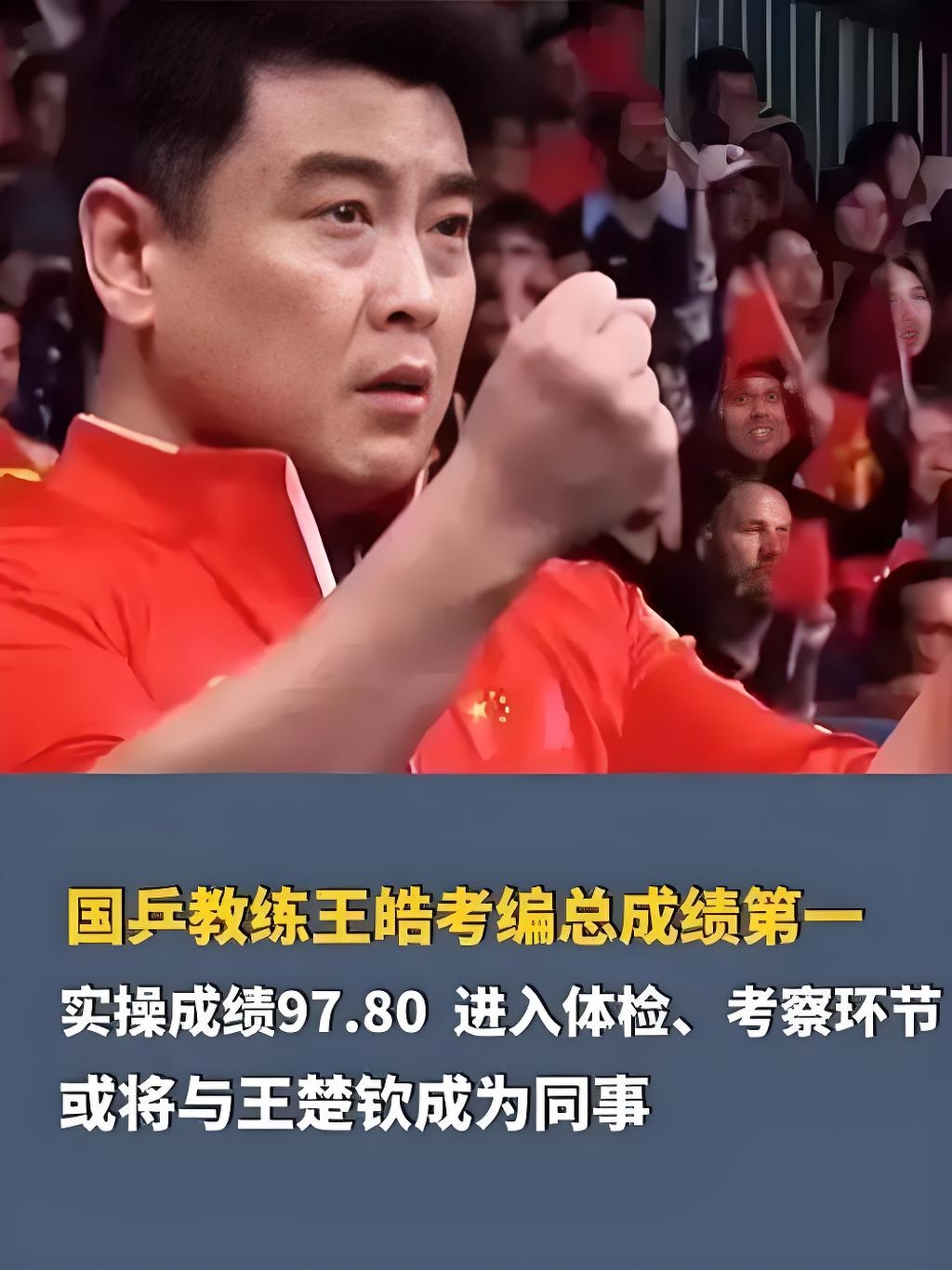 日本乒乓球队血洗德国乒乓球队，王皓关键制胜的简单介绍