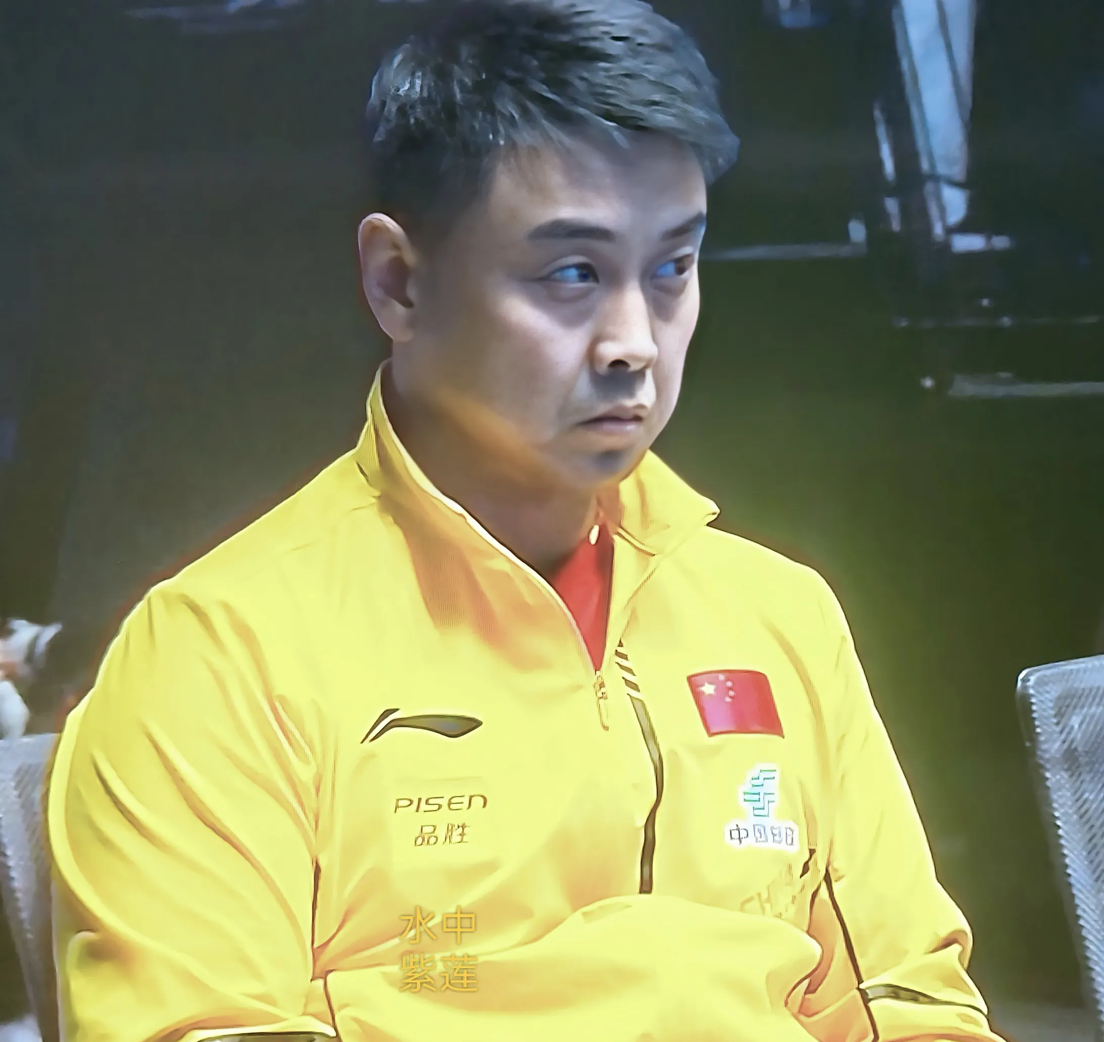 日本乒乓球队血洗德国乒乓球队，王皓关键制胜的简单介绍