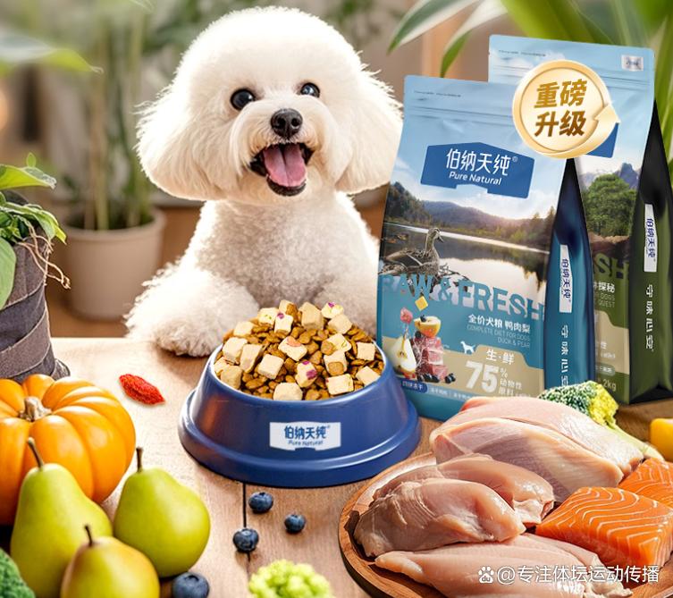 狗粮队战胜劲旅，提升积分排名