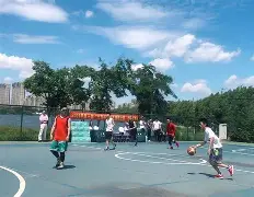 关于精妙配合频现，球场动作优美精准的信息