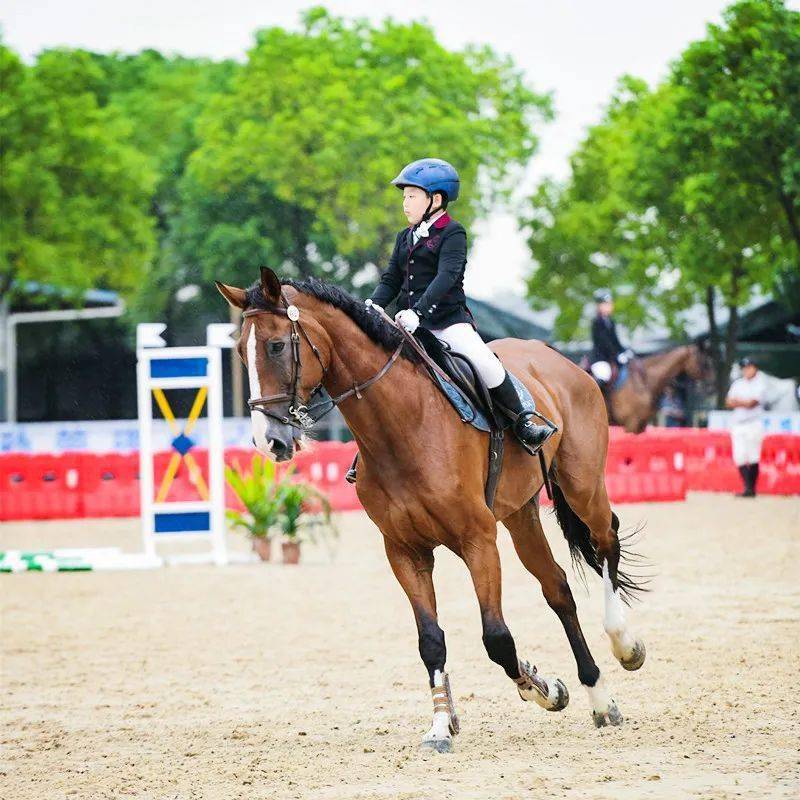 太阳充满团队合作精神,攻防兼备斩获连胜 太阳充满团队合作精神,攻防兼备斩获连胜