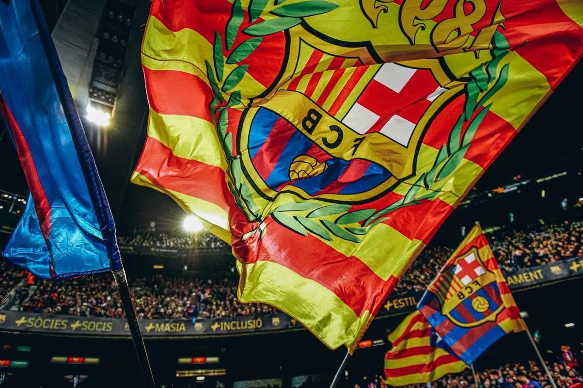 波黑逆转沙特，取得宝贵胜利的简单介绍