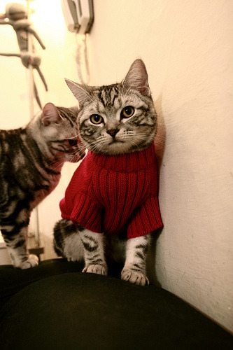 火力全开！勒沃库森战术体系碾压爱尔兰，蒂亚戈关键战接管世界排名争夺