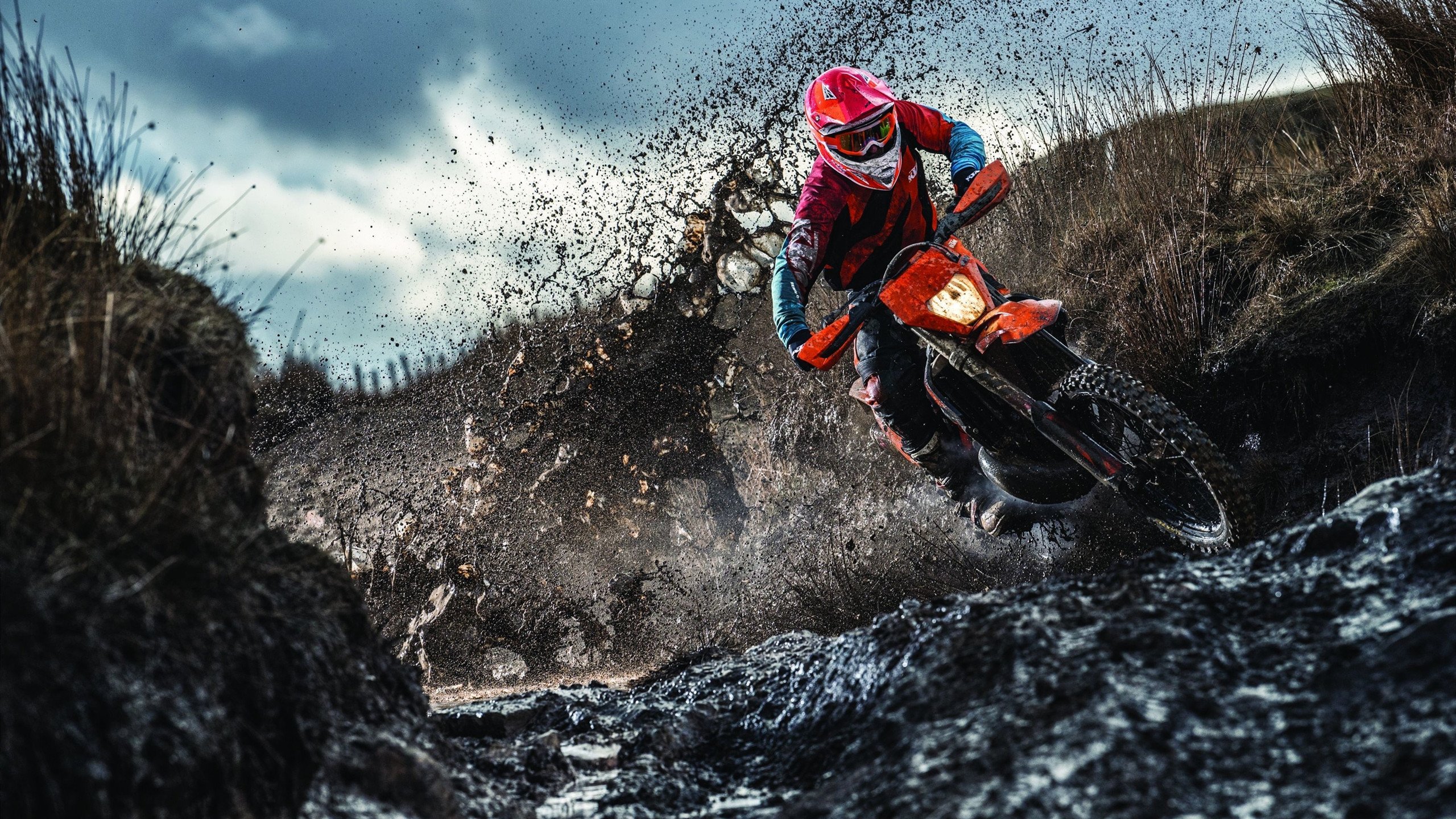 2026世界杯焦点战前瞻，猛龙全面压制步行者，战术与意志的较量